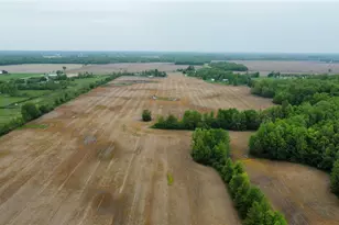 0 OH-303, Oberlin, OH 44074 - Photo 3