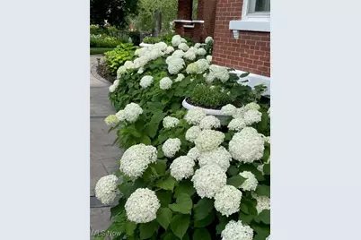 4522 7th Street SW, Canton, OH 44710 - Photo 29