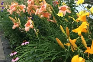 4522 7th St SW, Canton, OH 44710 - Photo 23