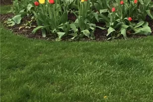 4522 7th St SW, Canton, OH 44710 - Photo 21