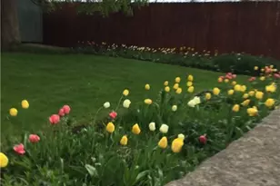 4522 7th St SW, Canton, OH 44710 - Photo 17