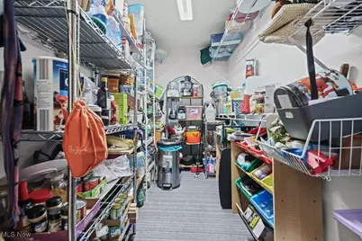 5869 Beechwood Avenue, Alliance, OH 44601 - Photo 25