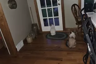 518 Hill St, Coshocton, OH 43812 - Photo 29