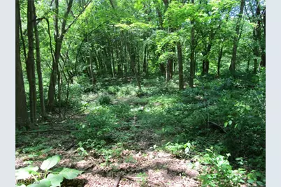 220 Daniels Avenue, Conneaut, OH 44030 - Photo 9