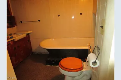 220 Daniels Avenue, Conneaut, OH 44030 - Photo 41