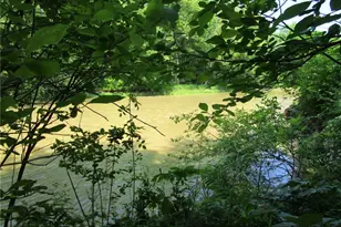 220 Daniels Ave, Conneaut, OH 44030 - Photo 11