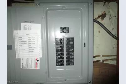 220 Daniels Avenue, Conneaut, OH 44030 - Photo 43