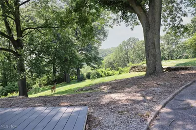 3901 Beaumont Drive, Weirton, WV 26062 - Photo 37