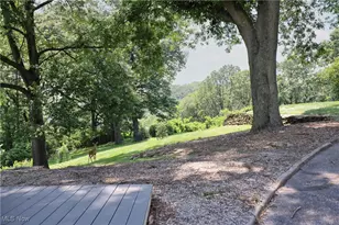 3901 Beaumont Dr, Weirton, WV 26062 - Photo 37