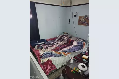 2224 W 101 St Street, Loveland, OH 44102 - Photo 13