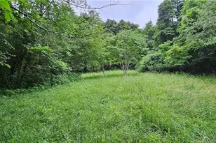 22165 Co Rd 17, Coshocton, OH 43812 - Photo 29