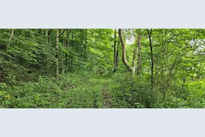 22165 County Road 17, Coshocton, OH 43812 - Photo 27