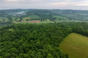 22165 Co Rd 17, Coshocton, OH 43812 - Photo 7