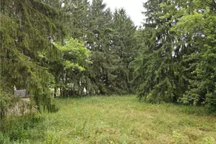 1811 Randolph Rd, Mogadore, OH 44260 - Photo 27