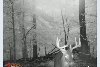 1917 Township Road 26, Killbuck, OH 44637 - Photo 25