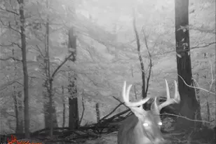 1917 Township Rd 26, Killbuck, OH 44637 - Photo 25