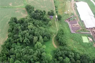 1917 Township Rd 26, Killbuck, OH 44637 - Photo 31