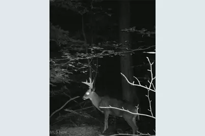 1917 Township Road 26, Killbuck, OH 44637 - Photo 27