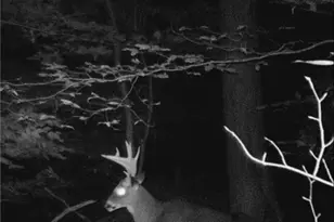 1917 Township Rd 26, Killbuck, OH 44637 - Photo 27