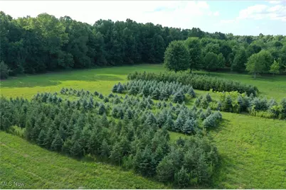 3609 State Route 225, Diamond, OH 44412 - Photo 19