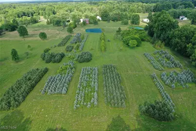 3609 State Route 225, Diamond, OH 44412 - Photo 21