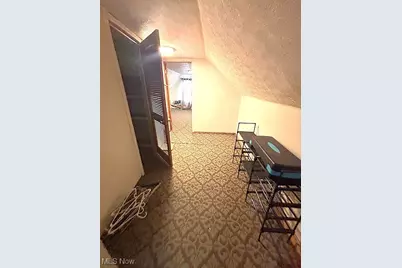 805 Rudyard Road, Loveland, OH 44110 - Photo 25