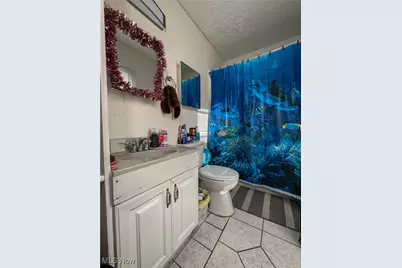 166 S Schenley Avenue, Youngstown, OH 44509 - Photo 11