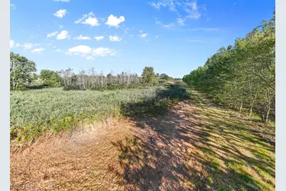 5913 Stuckey Road, Creston, OH 44217 - Photo 7