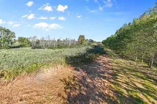 5913 Stuckey Rd, Creston, OH 44217 - Photo 7