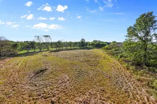 5913 Stuckey Rd, Creston, OH 44217 - Photo 17