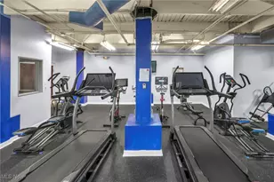 1133 W 9th St, Loveland, OH 44113 - Photo 41