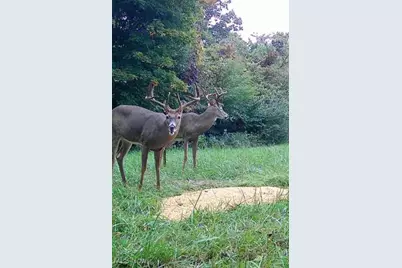 360 Glass Road, Malta, OH 43758 - Photo 25