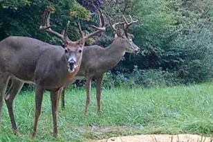 360 Glass Rd, Malta, OH 43758 - Photo 25