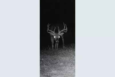 360 Glass Road, Malta, OH 43758 - Photo 23