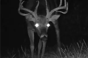 360 Glass Rd, Malta, OH 43758 - Photo 23