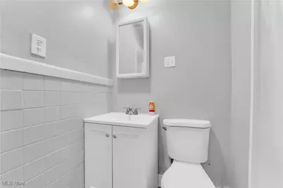 14106 Sylvia Avenue, Loveland, OH 44110 - Photo 13