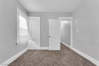 14106 Sylvia Avenue, Loveland, OH 44110 - Photo 15