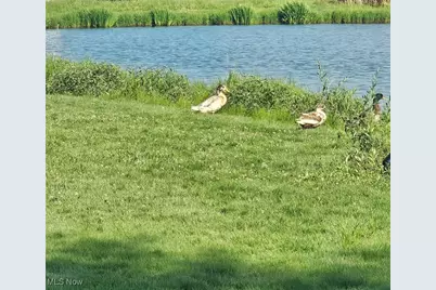 13929 Western Reserve Road, Salem, OH 44460 - Photo 5