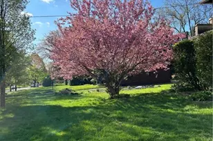 1568 W Exchange St, Akron, OH 44313 - Photo 9