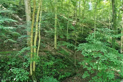 0002 Big Root Road, Big Bend, WV 26136 - Photo 13