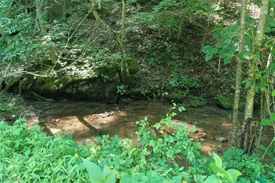 0002 Big Root Road, Big Bend, WV 26136 - Photo 11