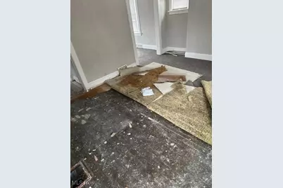 14705 Alder Avenue, East Cleveland, OH 44112 - Photo 9