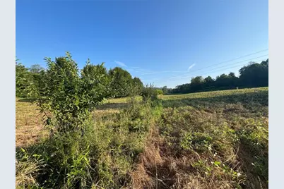 10170 N Morrison Road, Dresden, OH 43821 - Photo 23