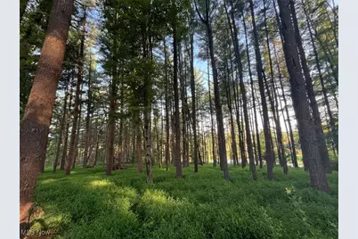 10170 N Morrison Road, Dresden, OH 43821 - Photo 13