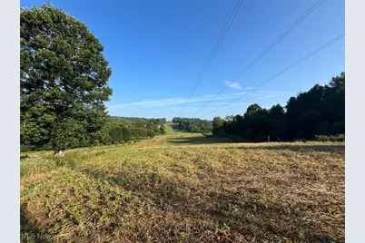 10170 N Morrison Road, Dresden, OH 43821 - Photo 27