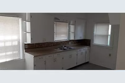 3916 Howard Street, Youngstown, OH 44512 - Photo 9