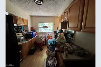 6046 Dundee Street, Madison, OH 44057 - Photo 13