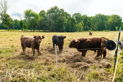 10670 Coal Bank Road, Marshallville, OH 44645 - Photo 17