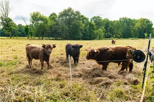 10670 Coal Bank Rd, Marshallville, OH 44645 - Photo 17