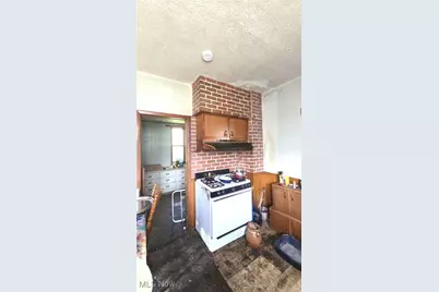 3221 W 56th Street, Loveland, OH 44102 - Photo 19